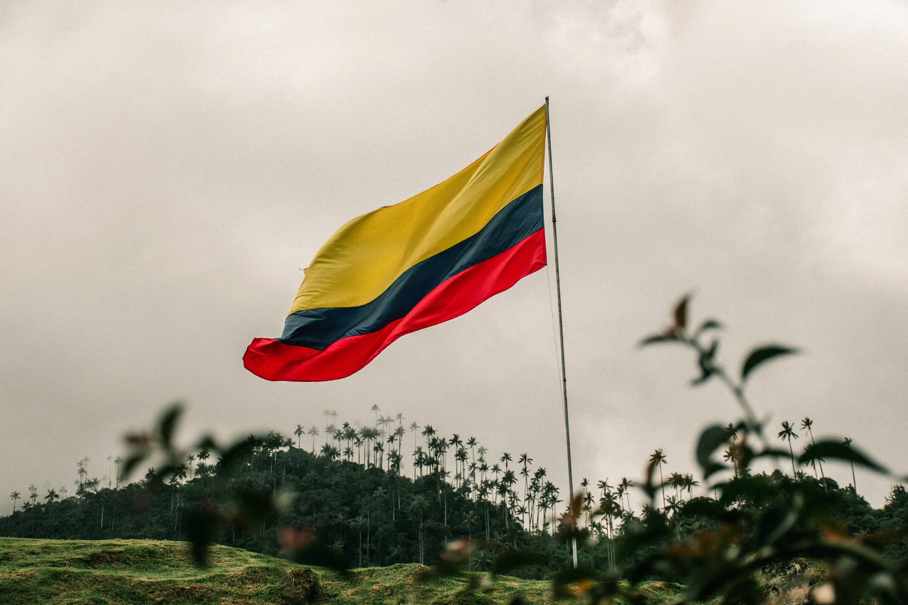 casillero en Colombia de SE LOGÍSTICA para compras y envíos a Costa Rica